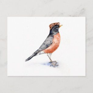 Robin Bird in Hat Postcard