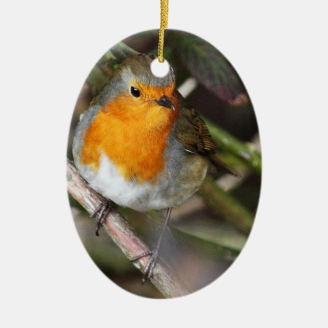 Robin Bird In Tree Ceramic Tree Decoration (Front)