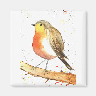 Robin bird magnet