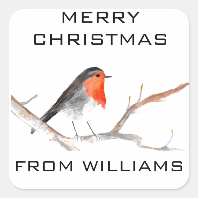 Robin Bird Merry Christmas Festive Winter Cute Square Sticker (Front)