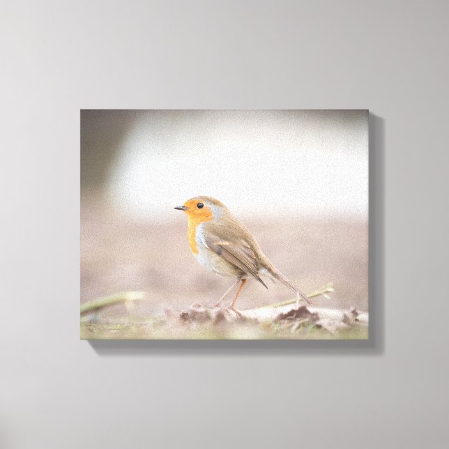 Robin Bird Nature Photo Canvas Print (Front)