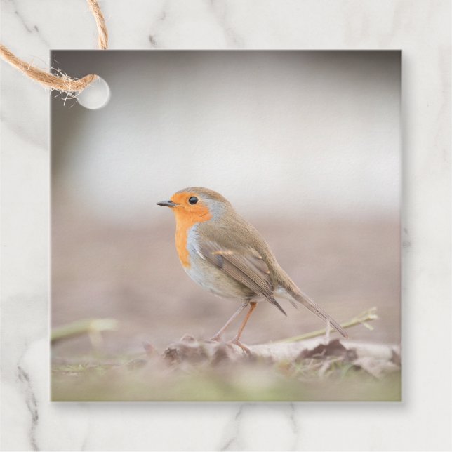 Robin Bird Nature Photo Favour Tags (Front)