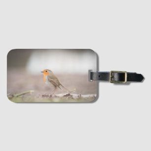 Robin Bird Nature Photo Luggage Tag