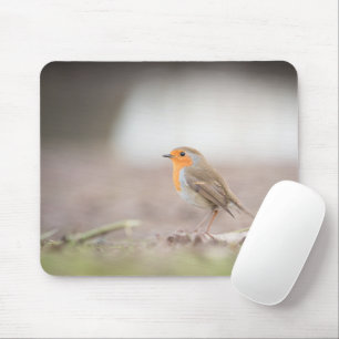 Robin Bird Nature Photo Mouse Mat