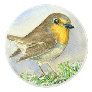 Robin bird on a frosted juniper branch ceramic knob