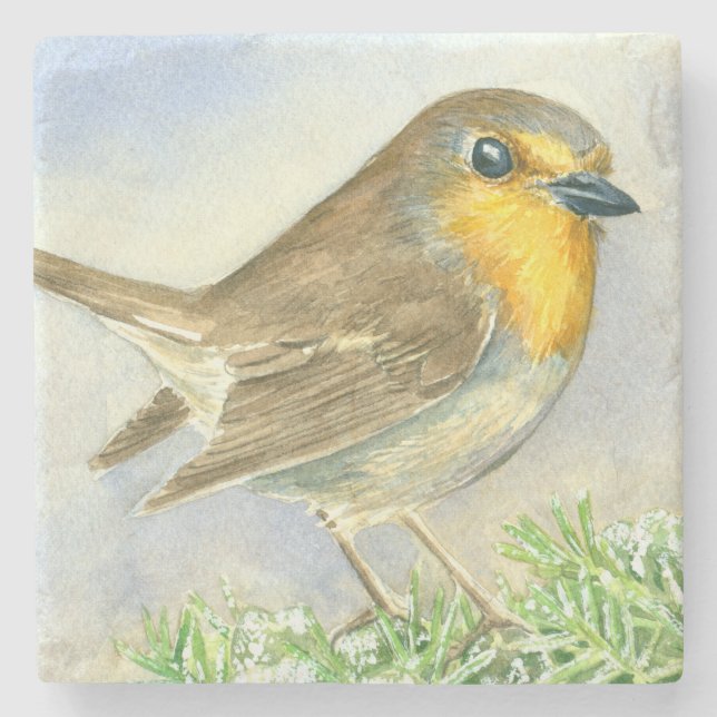 Robin bird on a frosted juniper branch stone coaster (Front)