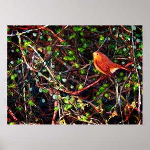 Robin bird ona branch in a hedge poster
