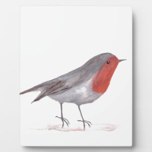 Robin bird plaque