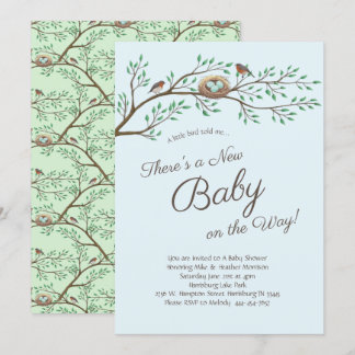 Robin Bird Spring Baby Shower Co-Ed Gender Neutral Invitation