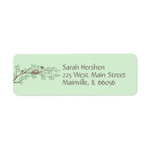 Robin Birds Nest Eggs Spring Baby Shower