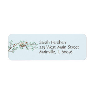 Robin Birds Nest Eggs Spring Baby Shower