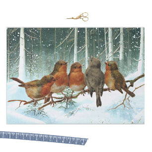 Robin Birds on Branch Snow Forest Winter Christmas Tissue Paper