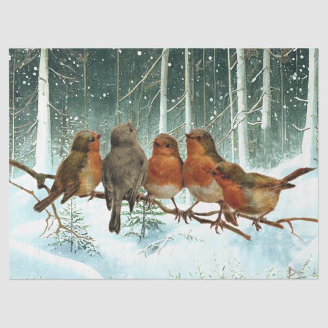Robin Birds on Branch Snow Forest Winter Christmas Tissue Paper (Front)