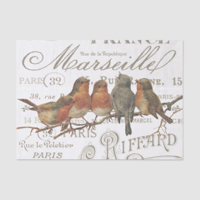 Robin Birds Vintage French City Names Tissue Paper (Front)