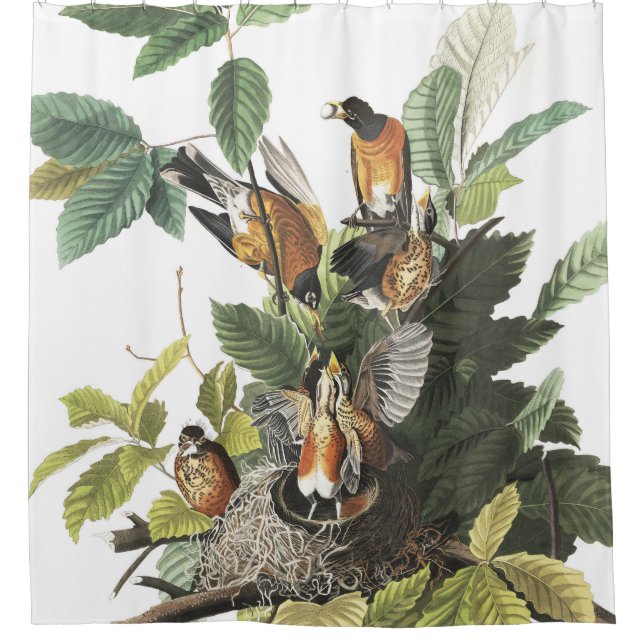 Robin Birds Wildlife Nest Audubon Shower Curtain (Front)