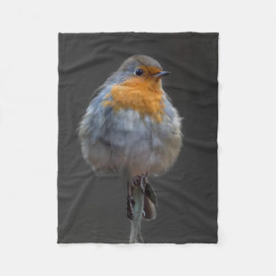 Robin Blanket