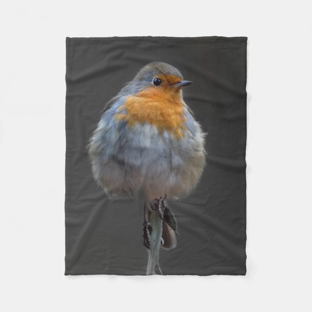 Robin Blanket (Front)