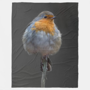 Robin Blanket