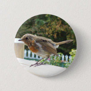 Robin Button Badge