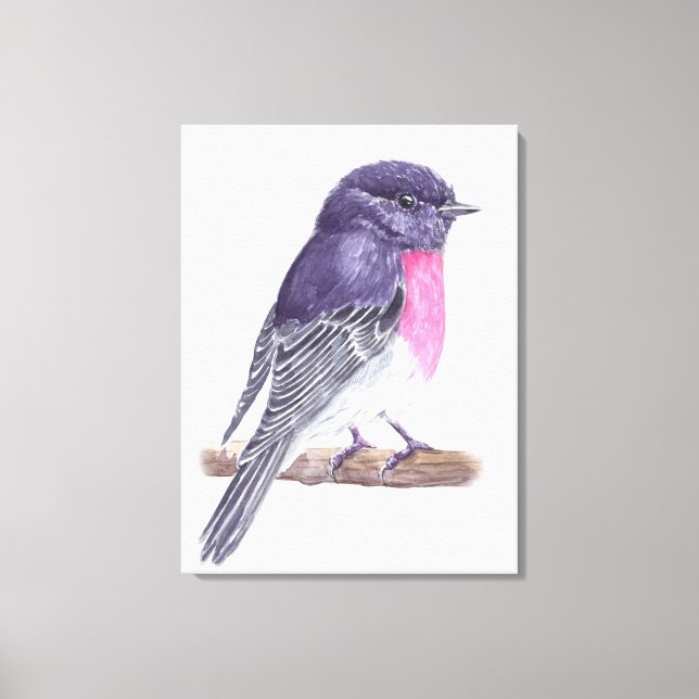 Robin Canvas Print (Front)