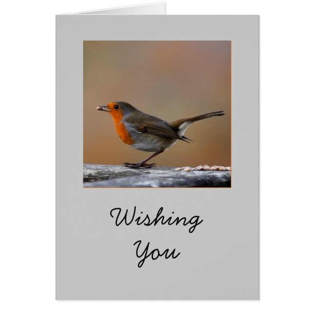 Robin Card (Front)