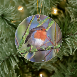 Robin Ceramic Tree Decoration