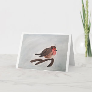 Robin christmas card
