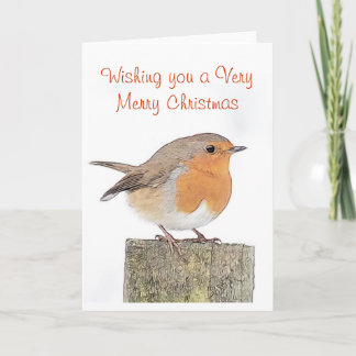 Robin Christmas Card
