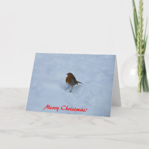 Robin Christmas Cards
