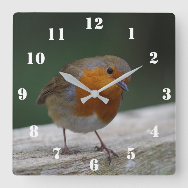 Robin Clock (Front)
