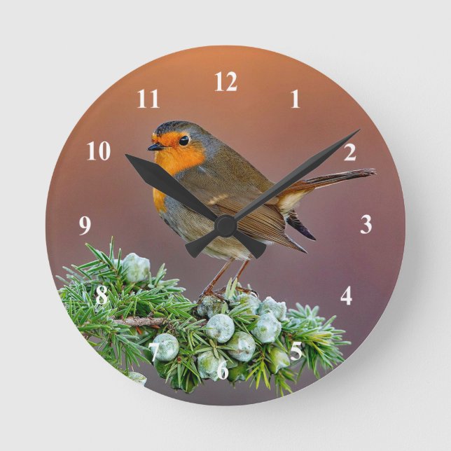 Robin Clock (Front)