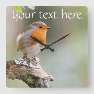 Robin clock add your own text