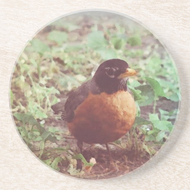 Robin Coaster (Front)