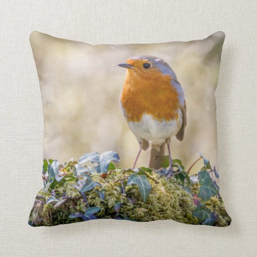 Image of Robin cushion featuring two beautiful photographs