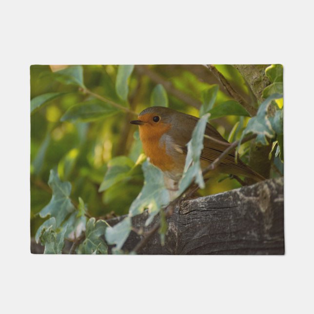 Robin Doormat (Front)