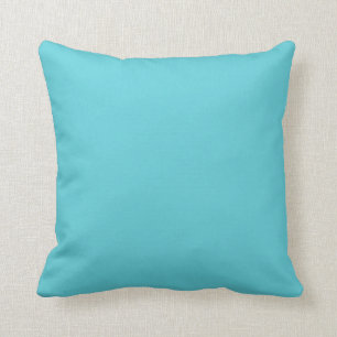“Robin Egg Blue” Cushion