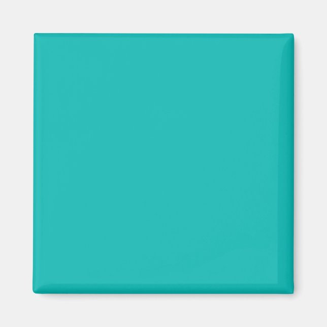 Robin Egg Blue Cute Matching Colour Magnet (Front)