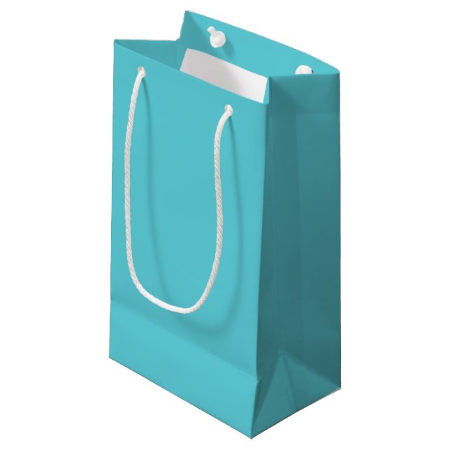 Robin Egg Blue Small Gift Bag (Front Angled)