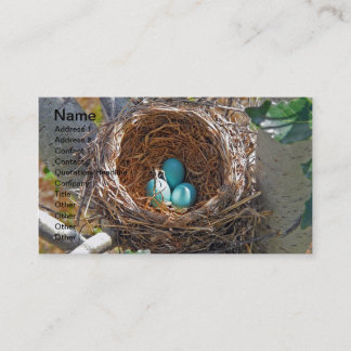 Robin Eggs in a Backyard Tree Nest Business Card