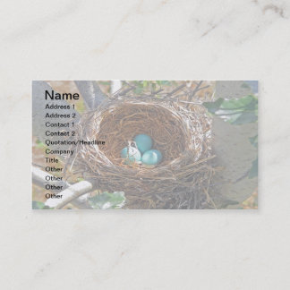 Robin Eggs in a Backyard Tree Nest Business Card