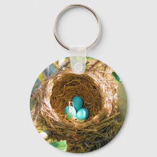 Robin Eggs in a Backyard Tree Nest Key Ring