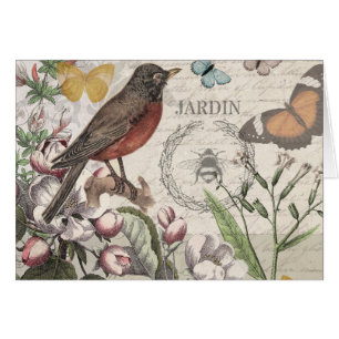 Robin Elegant Bird Butterfly French Art