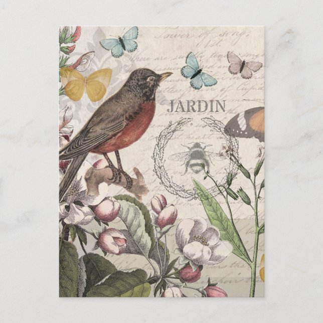 Robin Elegant Bird Butterfly French Art Postcard (Front)