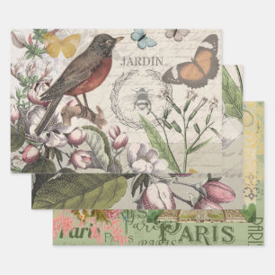 Robin Elegant Bird Butterfly French Art Wrapping Paper Sheet