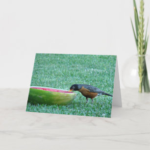 Robin Enjoys Watermelon, 4th of July Card