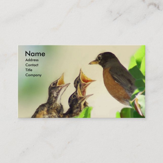 Robin Family Business Card (Front)