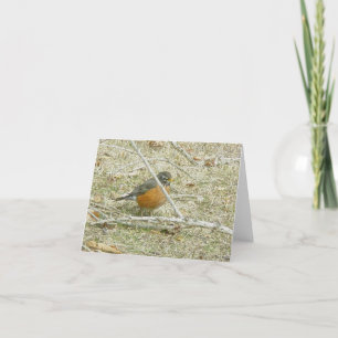 Robin Harbinger of Spring Card