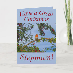 Robin in a Hawthorn Tree Christmas Card Stepmum