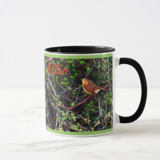 Robin in a hedge mug