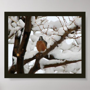 Robin in black poster